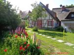 Reisebericht Ostseebad Wustrow - altes Haus mit Strohdach und Blumen