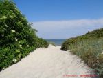 Reisebericht Ostseebad Wustrow - Übergang zum Strand